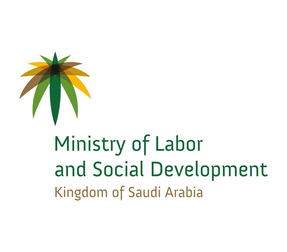 Expat Worker Fees in Saudi Arabia | Employer Responsibilities image showing main features